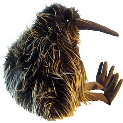 Der Kiwi, Neuseelands Nationalvogel